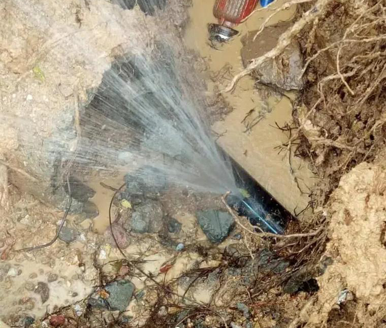 {"id":22,"keyword":"\u7ba1\u9053\u6f0f\u6c34\u68c0\u6d4b","prefix":["\u4e13\u4e1a"],"suffix":["\u54ea\u5bb6\u597d","\u4ef7\u683c","\u5382\u5bb6","\u54ea\u5bb6\u4f18\u60e0","\u7535\u8bdd"],"area_id":null,"ignore_areas":[],"created_at":"2026-03-23T03:04:35.000000Z","updated_at":"2026-03-23T03:04:35.000000Z"}